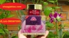 elise kem nám tàn nhang đồi mồi 20g mỹ phẩm thảo dược hoa sen - anh 1 elise kem nám tàn nhang đồi mồi 20g mỹ phẩm thảo dược hoa sen - anh 1