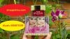 elise kem nám tàn nhang đồi mồi 20g mỹ phẩm thảo dược hoa sen - anh 2 elise kem nám tàn nhang đồi mồi 20g mỹ phẩm thảo dược hoa sen - anh 2