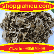 hạt chùm ngây hạt chùm ngây