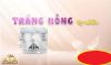 Mỹ phẩm AIA - WHITE CREAM CLOSE PORES - Kem dưỡng trắng da, Ngừa thâm quầng mắt, Se khít lỗ chân lông (7g) - anh 3 Mỹ phẩm AIA - WHITE CREAM CLOSE PORES - Kem dưỡng trắng da, Ngừa thâm quầng mắt, Se khít lỗ chân lông (7g) - anh 3