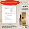 LASVON TINH CHẤT SERUM COLLAGEN ỨC CHẾ NÁM CAO CẤP 100ML ( NHẬT BẢN ) CHÍNH HÃNG - anh 1 LASVON TINH CHẤT SERUM COLLAGEN ỨC CHẾ NÁM CAO CẤP 100ML ( NHẬT BẢN ) CHÍNH HÃNG - anh 1