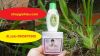 kem dưỡng trắng da toàn thân new white hoa việt kết hợp kem tẩy trắng da cấp tốc pretty - anh 1