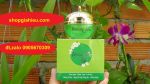 beauty spa gp kem mụn thâm sạm liền sẹo chống đỏ da ngừa dị ứng trắng da chống nắng 12g MỸ PHẨM KHIÊM