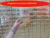 kem livys whitening body lotion 250g - anh 1