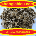 hạt chùm ngây